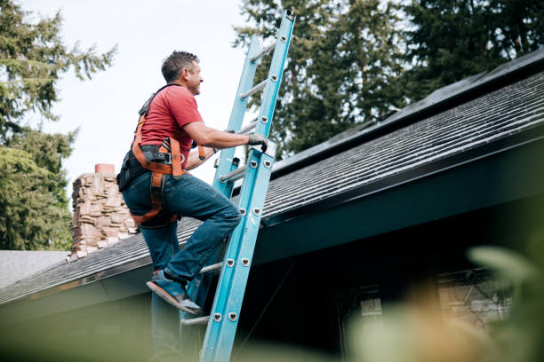 Best Roof Moss and Algae Removal  in Helemano, HI